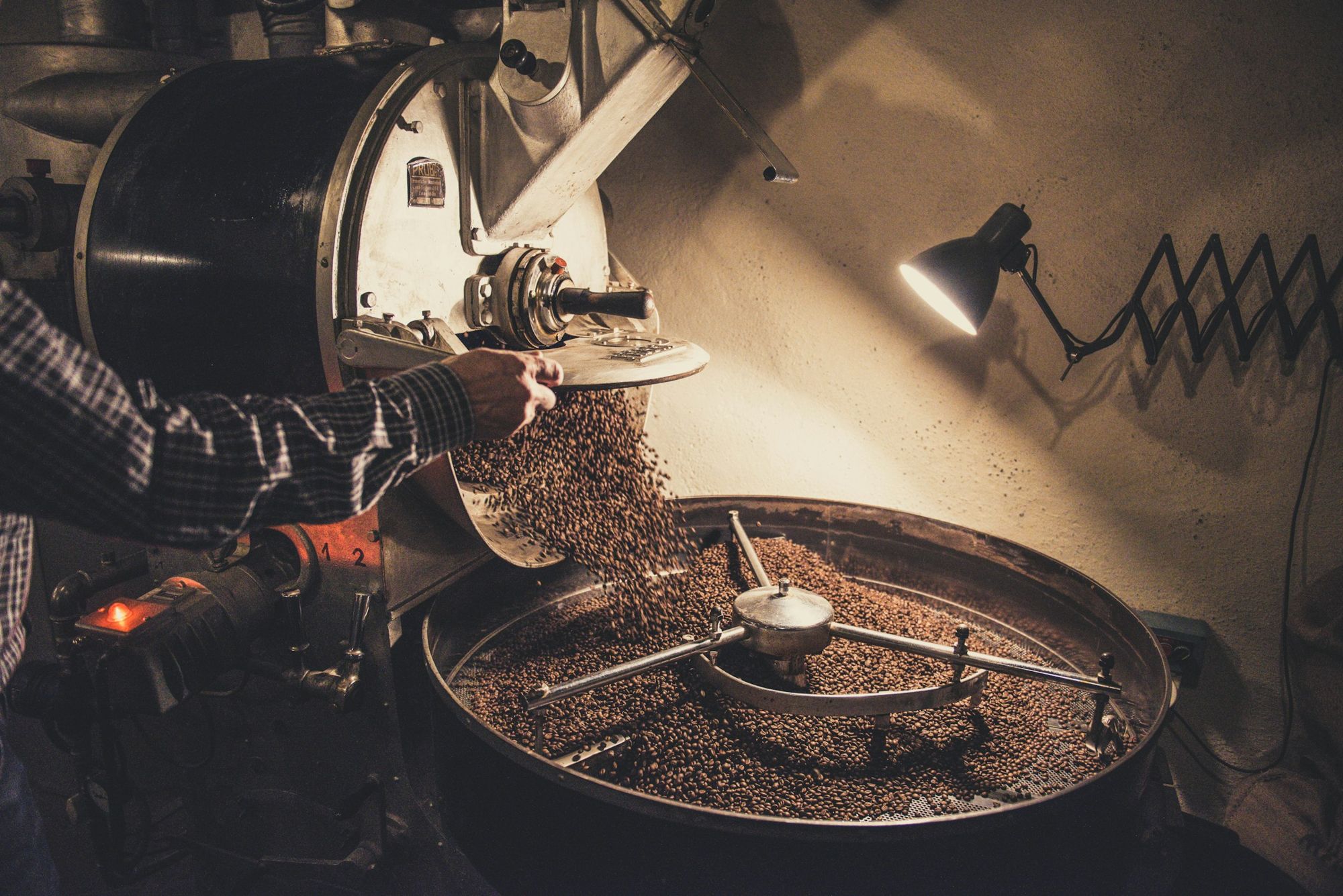 Coffee beans tumbling from a drum roaster into the cooling tray