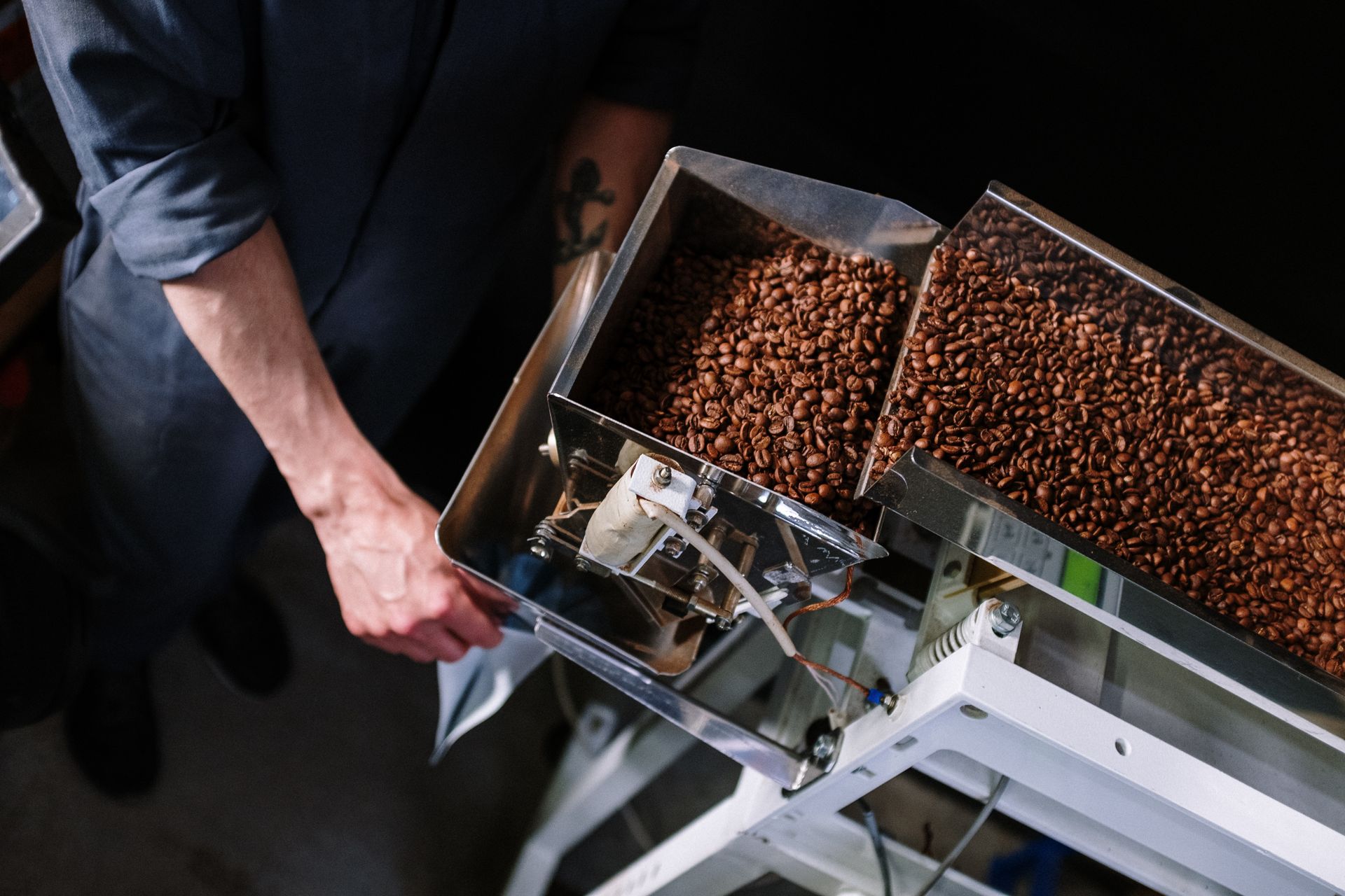 Roasted coffee beans being poured from a hopper