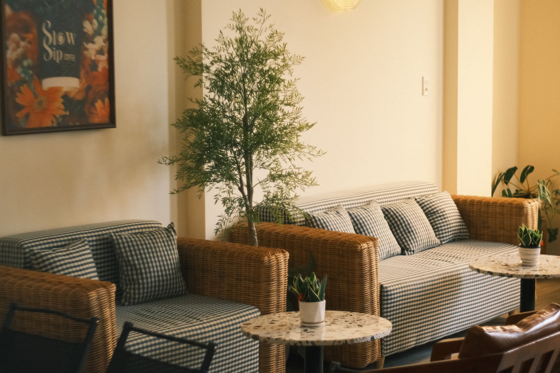 A cafe lounge with gingham sofas, a marble side table and a potted tree
